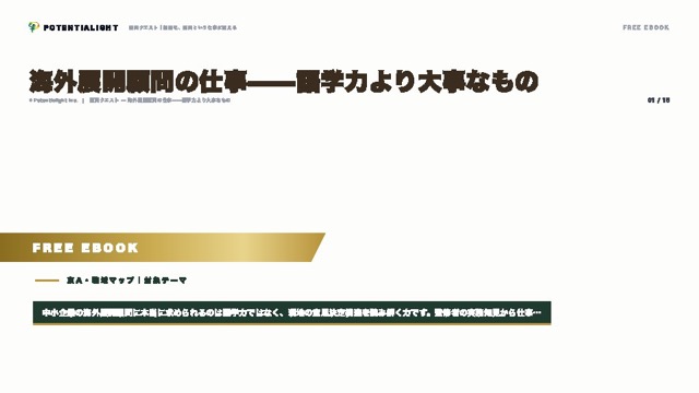 海外展開顧問の仕事——語学力より大事なもの eBook表紙