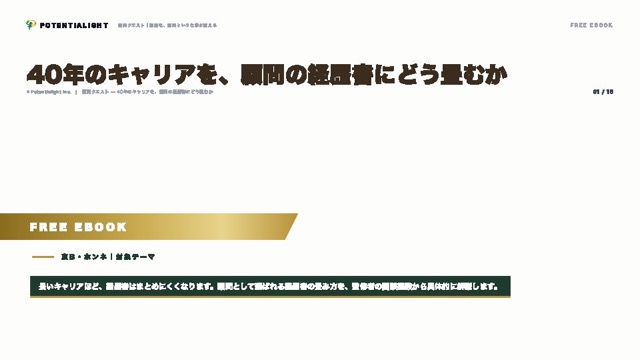 40年のキャリアを、顧問の経歴書にどう畳むか eBook表紙