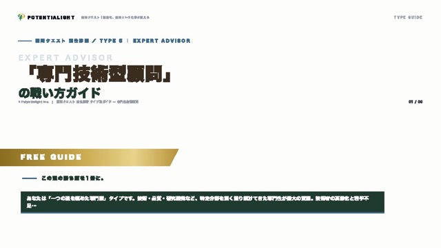 専門技術型顧問の戦い方ガイド 表紙